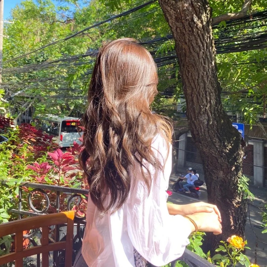 紫苑草