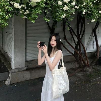 寻芳浪蝶